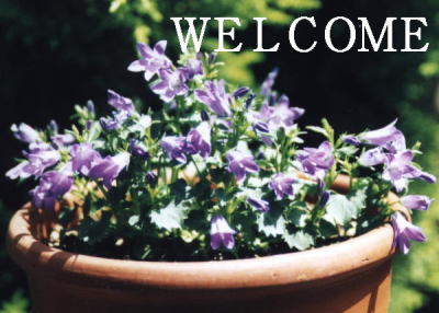 �x���t�����[�iBY�������񕃁j