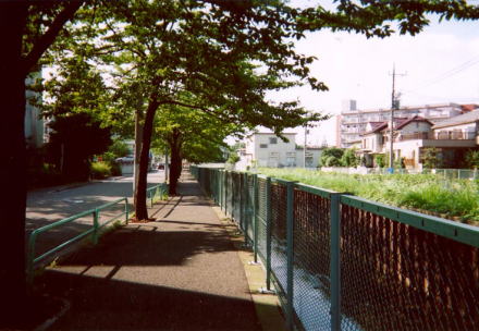 ���n�̎ʐ^����2