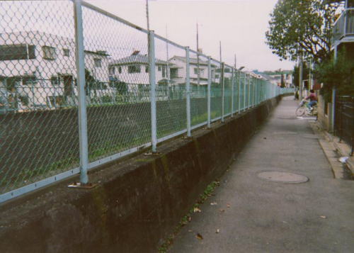 ���n�̎ʐ^���̂P�R